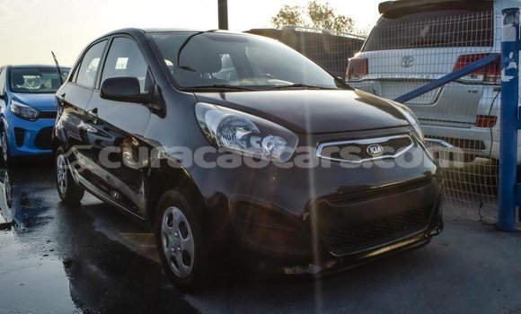 Buy Import Kia Picanto Black Car in Import - Dubai in Curacao Buy Import Kia Picanto Black Car in Import - Dubai in Curacao