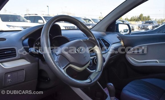 Buy Import Kia Picanto Black Car in Import - Dubai in Curacao Buy Import Kia Picanto Black Car in Import - Dubai in Curacao