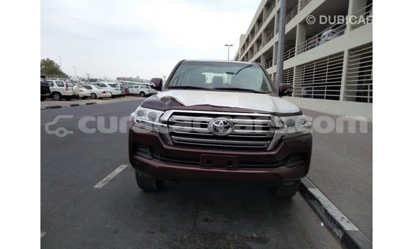 Buy Import Toyota Land Cruiser Brown Car in Import - Dubai in Curacao Buy Import Toyota Land Cruiser Brown Car in Import - Dubai in Curacao