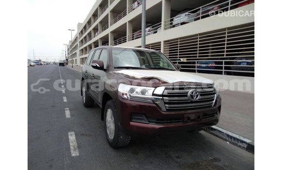 Buy Import Toyota Land Cruiser Brown Car in Import - Dubai in Curacao Buy Import Toyota Land Cruiser Brown Car in Import - Dubai in Curacao
