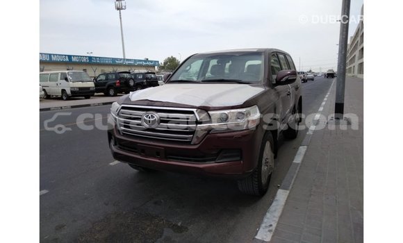 Buy Import Toyota Land Cruiser Brown Car in Import - Dubai in Curacao Buy Import Toyota Land Cruiser Brown Car in Import - Dubai in Curacao