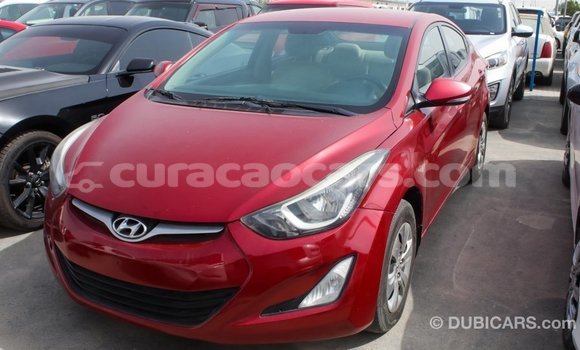 Buy Import Hyundai Elantra Red Car in Import - Dubai in Curacao Buy Import Hyundai Elantra Red Car in Import - Dubai in Curacao