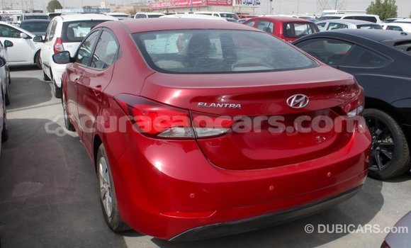 Buy Import Hyundai Elantra Red Car in Import - Dubai in Curacao Buy Import Hyundai Elantra Red Car in Import - Dubai in Curacao