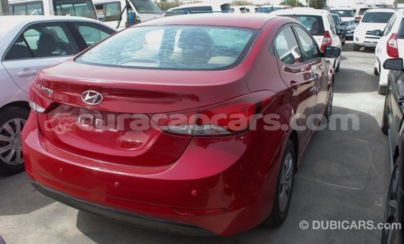 Buy Import Hyundai Elantra Red Car in Import - Dubai in Curacao Buy Import Hyundai Elantra Red Car in Import - Dubai in Curacao