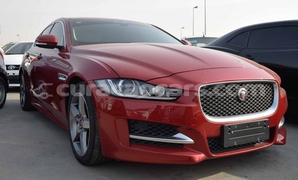 Buy Import Jaguar XE Red Car in Import - Dubai in Curacao