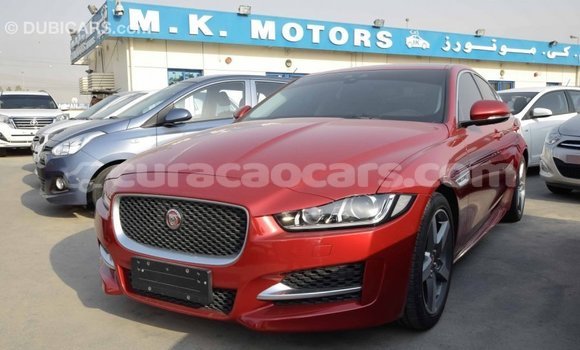 Buy Import Jaguar XE Red Car in Import - Dubai in Curacao Buy Import Jaguar XE Red Car in Import - Dubai in Curacao