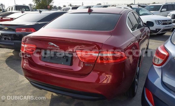 Buy Import Jaguar XE Red Car in Import - Dubai in Curacao Buy Import Jaguar XE Red Car in Import - Dubai in Curacao