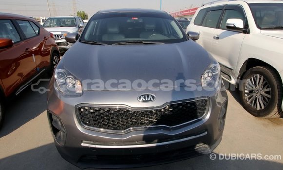 Buy Import Kia Sportage Other Car in Import - Dubai in Curacao Buy Import Kia Sportage Other Car in Import - Dubai in Curacao