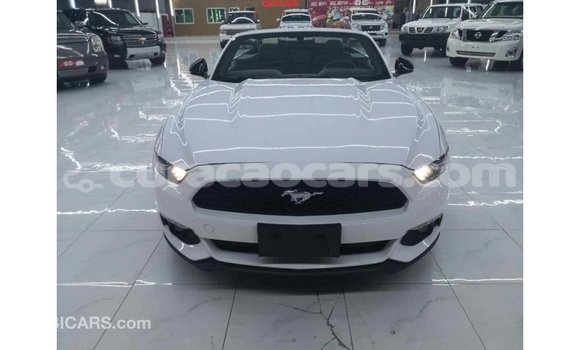 Buy Import Ford Mustang White Car in Import - Dubai in Curacao Buy Import Ford Mustang White Car in Import - Dubai in Curacao