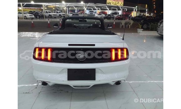 Buy Import Ford Mustang White Car in Import - Dubai in Curacao Buy Import Ford Mustang White Car in Import - Dubai in Curacao