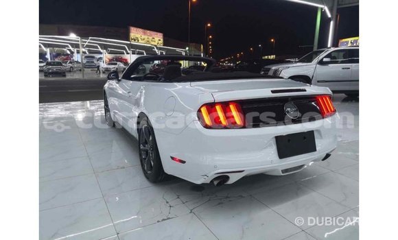 Buy Import Ford Mustang White Car in Import - Dubai in Curacao Buy Import Ford Mustang White Car in Import - Dubai in Curacao