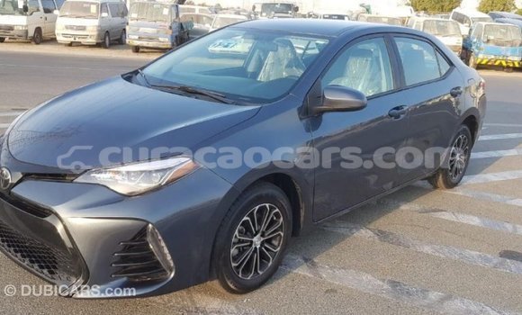 Buy Import Toyota Corolla Other Car in Import - Dubai in Curacao Buy Import Toyota Corolla Other Car in Import - Dubai in Curacao