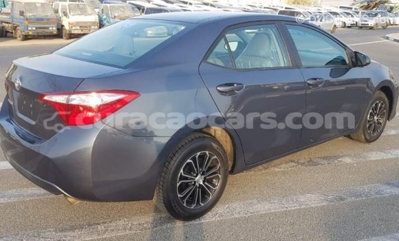 Buy Import Toyota Corolla Other Car in Import - Dubai in Curacao Buy Import Toyota Corolla Other Car in Import - Dubai in Curacao