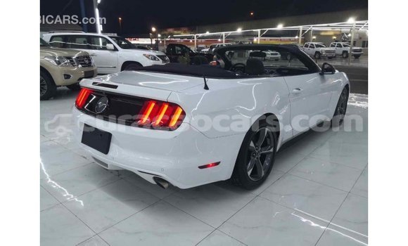 Buy Import Ford Mustang White Car in Import - Dubai in Curacao Buy Import Ford Mustang White Car in Import - Dubai in Curacao