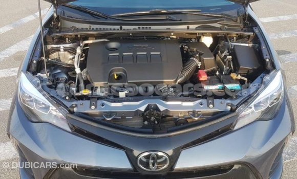 Buy Import Toyota Corolla Other Car in Import - Dubai in Curacao Buy Import Toyota Corolla Other Car in Import - Dubai in Curacao