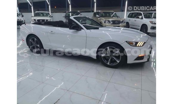 Buy Import Ford Mustang White Car in Import - Dubai in Curacao Buy Import Ford Mustang White Car in Import - Dubai in Curacao