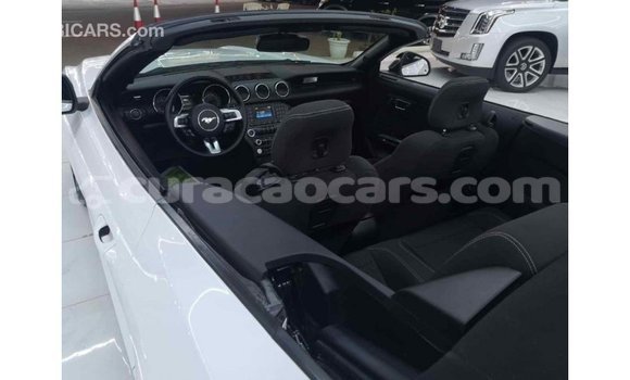 Buy Import Ford Mustang White Car in Import - Dubai in Curacao Buy Import Ford Mustang White Car in Import - Dubai in Curacao