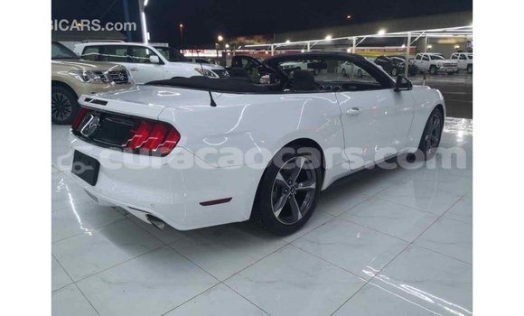 Buy Import Ford Mustang White Car in Import - Dubai in Curacao Buy Import Ford Mustang White Car in Import - Dubai in Curacao