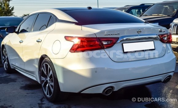 Buy Import Nissan Maxima White Car in Import - Dubai in Curacao Buy Import Nissan Maxima White Car in Import - Dubai in Curacao