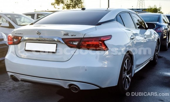 Buy Import Nissan Maxima White Car in Import - Dubai in Curacao Buy Import Nissan Maxima White Car in Import - Dubai in Curacao