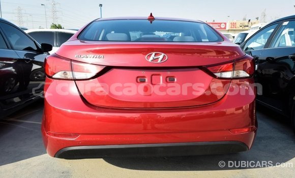 Buy Import Hyundai Elantra Red Car in Import - Dubai in Curacao Buy Import Hyundai Elantra Red Car in Import - Dubai in Curacao