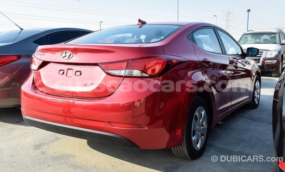 Buy Import Hyundai Elantra Red Car in Import - Dubai in Curacao Buy Import Hyundai Elantra Red Car in Import - Dubai in Curacao