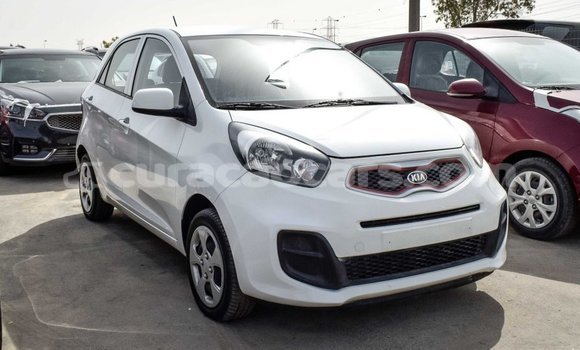 Buy Import Kia Picanto White Car in Import - Dubai in Curacao Buy Import Kia Picanto White Car in Import - Dubai in Curacao