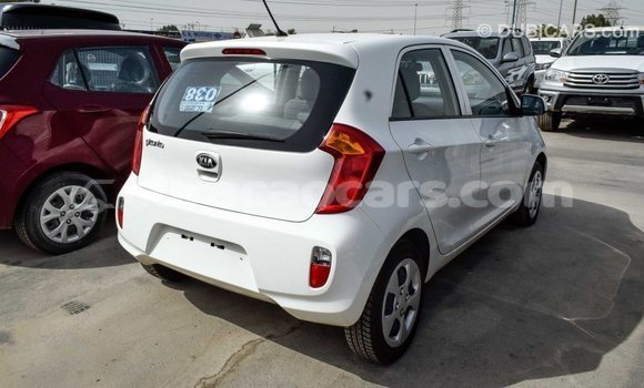 Buy Import Kia Picanto White Car in Import - Dubai in Curacao Buy Import Kia Picanto White Car in Import - Dubai in Curacao