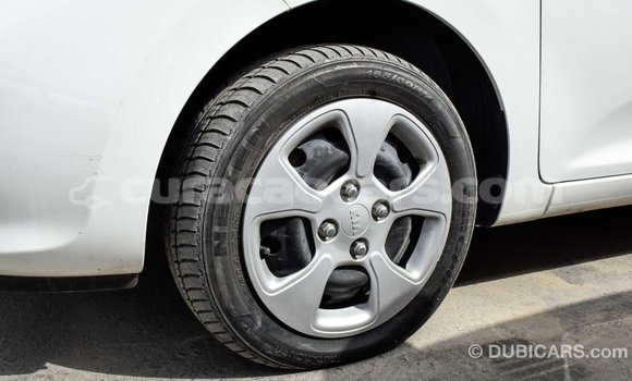 Buy Import Kia Picanto White Car in Import - Dubai in Curacao Buy Import Kia Picanto White Car in Import - Dubai in Curacao