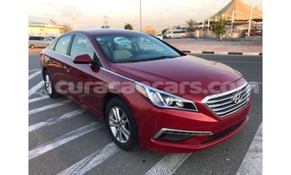 Buy Import Hyundai Sonata Red Car in Import - Dubai in Curacao Buy Import Hyundai Sonata Red Car in Import - Dubai in Curacao