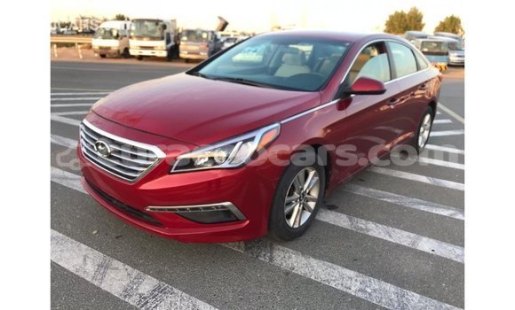 Buy Import Hyundai Sonata Red Car in Import - Dubai in Curacao Buy Import Hyundai Sonata Red Car in Import - Dubai in Curacao