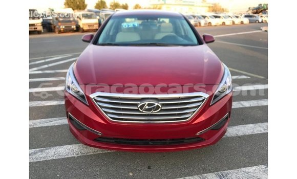 Buy Import Hyundai Sonata Red Car in Import - Dubai in Curacao Buy Import Hyundai Sonata Red Car in Import - Dubai in Curacao