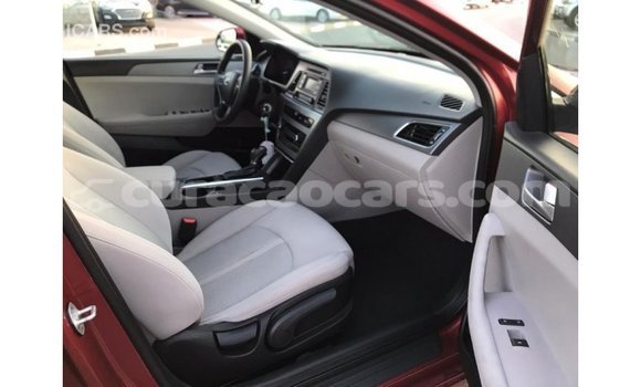 Buy Import Hyundai Sonata Red Car in Import - Dubai in Curacao Buy Import Hyundai Sonata Red Car in Import - Dubai in Curacao