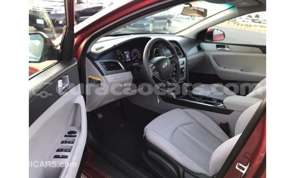 Buy Import Hyundai Sonata Red Car in Import - Dubai in Curacao Buy Import Hyundai Sonata Red Car in Import - Dubai in Curacao
