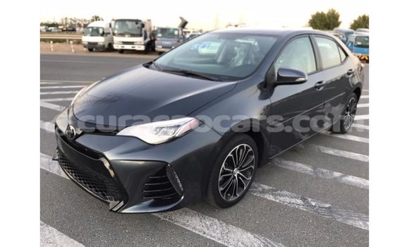 Buy Import Toyota Corolla Other Car in Import - Dubai in Curacao Buy Import Toyota Corolla Other Car in Import - Dubai in Curacao