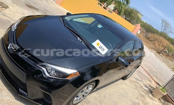 Buy Used Toyota Corolla Black Car in Willemstad in Curacao