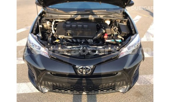 Buy Import Toyota Corolla Black Car in Import - Dubai in Curacao Buy Import Toyota Corolla Black Car in Import - Dubai in Curacao