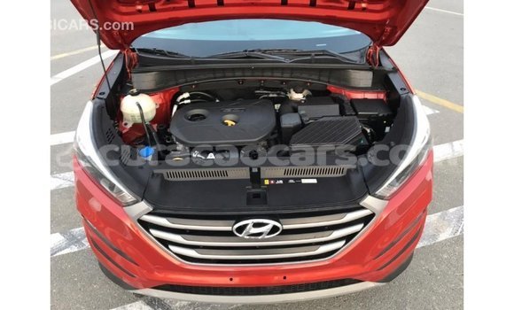 Buy Import Hyundai Tucson Red Car in Import - Dubai in Curacao Buy Import Hyundai Tucson Red Car in Import - Dubai in Curacao