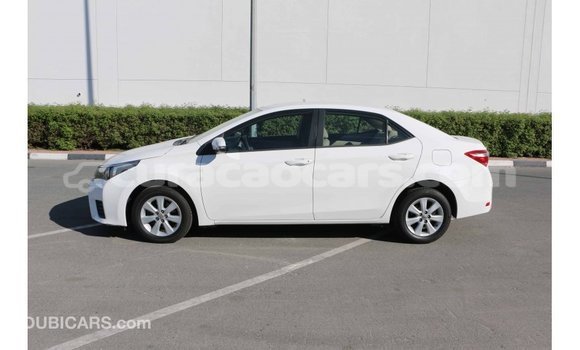 Buy Import Toyota Corolla White Car in Import - Dubai in Curacao Buy Import Toyota Corolla White Car in Import - Dubai in Curacao