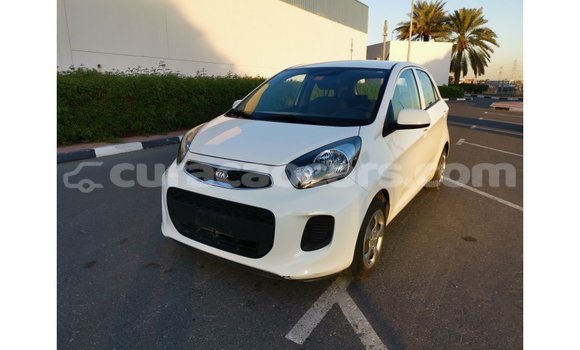 Buy Import Kia Picanto White Car in Import - Dubai in Curacao Buy Import Kia Picanto White Car in Import - Dubai in Curacao