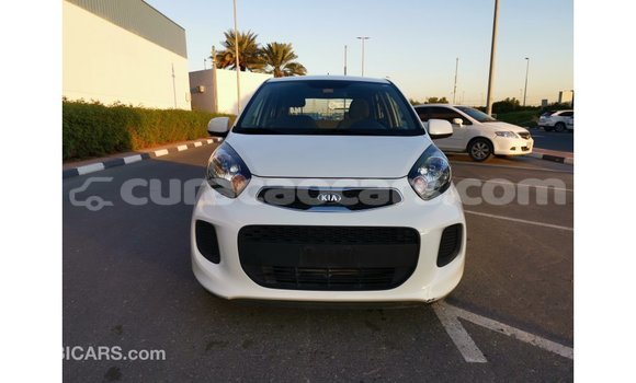 Buy Import Kia Picanto White Car in Import - Dubai in Curacao Buy Import Kia Picanto White Car in Import - Dubai in Curacao