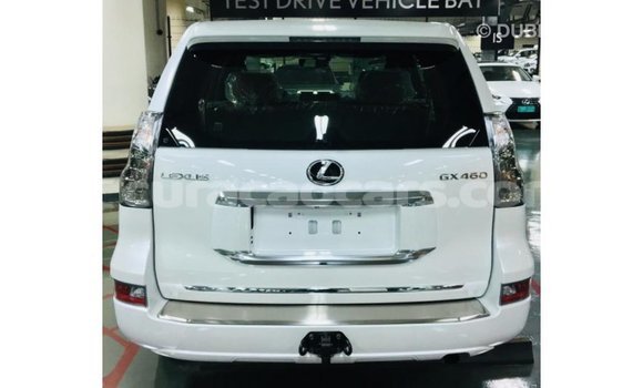 Buy Import Lexus GX White Car in Import - Dubai in Curacao Buy Import Lexus GX White Car in Import - Dubai in Curacao