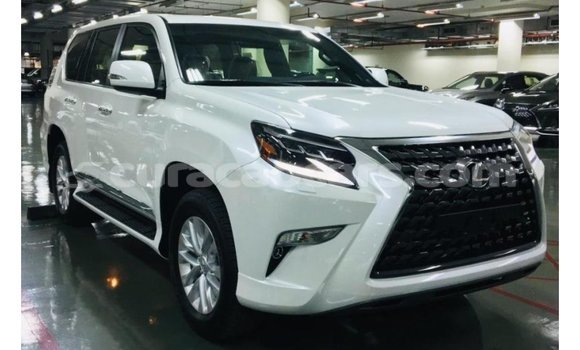 Buy Import Lexus GX White Car in Import - Dubai in Curacao Buy Import Lexus GX White Car in Import - Dubai in Curacao
