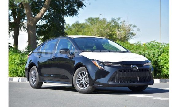 Buy Import Toyota Corolla Black Car in Import - Dubai in Curacao Buy Import Toyota Corolla Black Car in Import - Dubai in Curacao