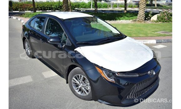 Buy Import Toyota Corolla Black Car in Import - Dubai in Curacao Buy Import Toyota Corolla Black Car in Import - Dubai in Curacao