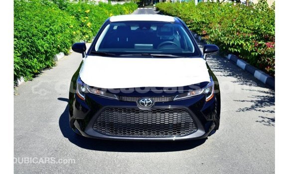 Buy Import Toyota Corolla Black Car in Import - Dubai in Curacao Buy Import Toyota Corolla Black Car in Import - Dubai in Curacao