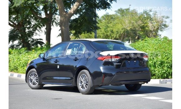Buy Import Toyota Corolla Black Car in Import - Dubai in Curacao Buy Import Toyota Corolla Black Car in Import - Dubai in Curacao