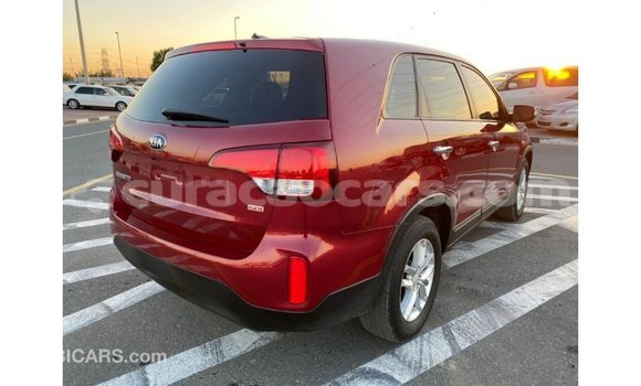 Buy Import Kia Sorento Red Car in Import - Dubai in Curacao Buy Import Kia Sorento Red Car in Import - Dubai in Curacao