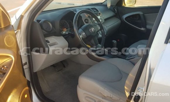 Buy Import Toyota 4Runner Other Car in Import - Dubai in Curacao Buy Import Toyota 4Runner Other Car in Import - Dubai in Curacao