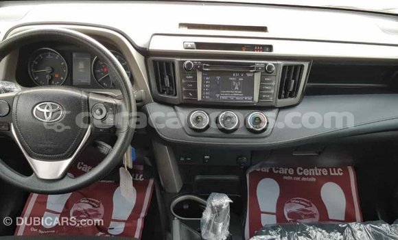 Buy Import Toyota RAV4 Black Car in Import - Dubai in Curacao Buy Import Toyota RAV4 Black Car in Import - Dubai in Curacao